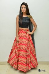 Payal Rajput New Photos